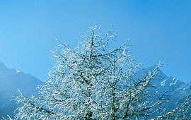 如何轰炸小三电话