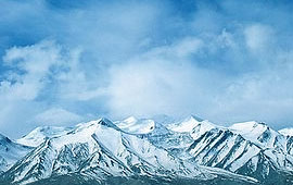 打爆别人手机号的软件