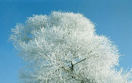 打爆别人手机号的软件